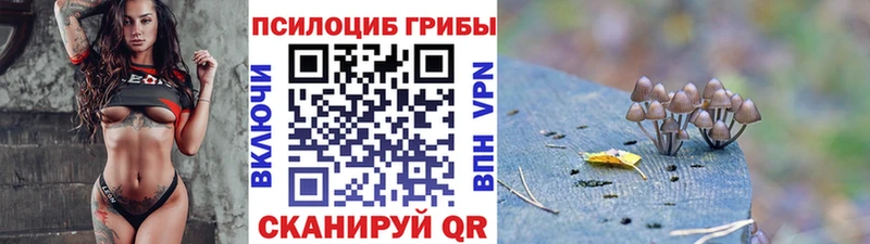Псилоцибиновые грибы мицелий Пыталово