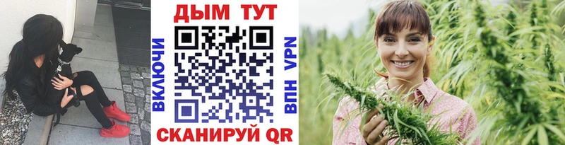 Бошки марихуана Bruce Banner закладка Пыталово